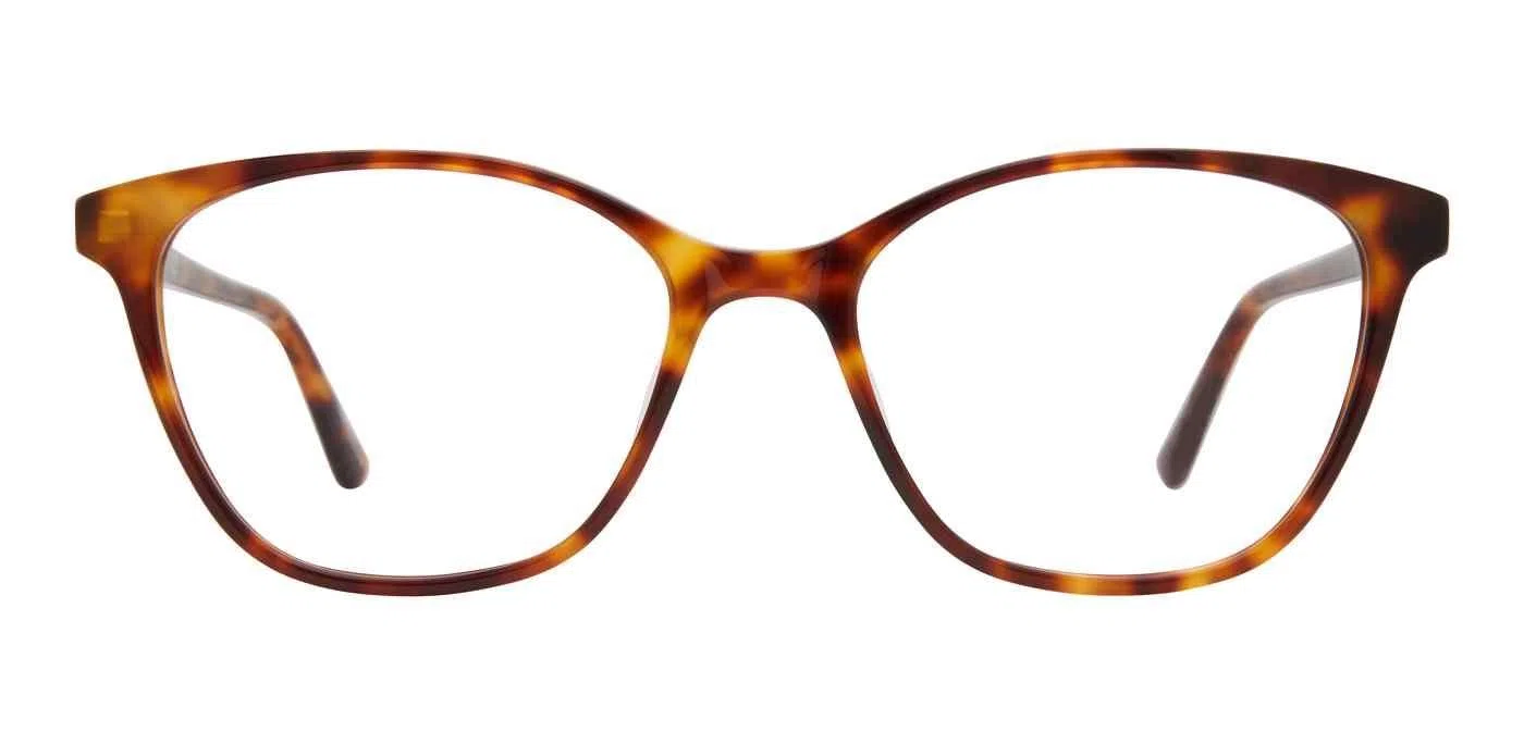 Adensco 236 Eyeglasses - view 12